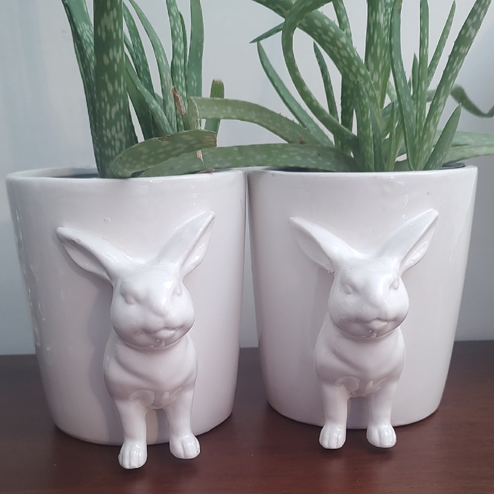Bunny Rabbit Planters Small Set 2 - Picture 2 of 10